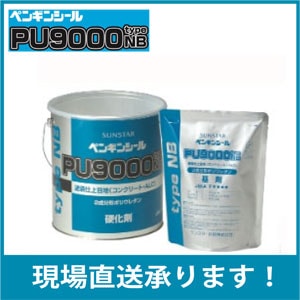 ���󥹥������ڥ󥮥󥷡���PU9000typeNB ��6�̡�2������