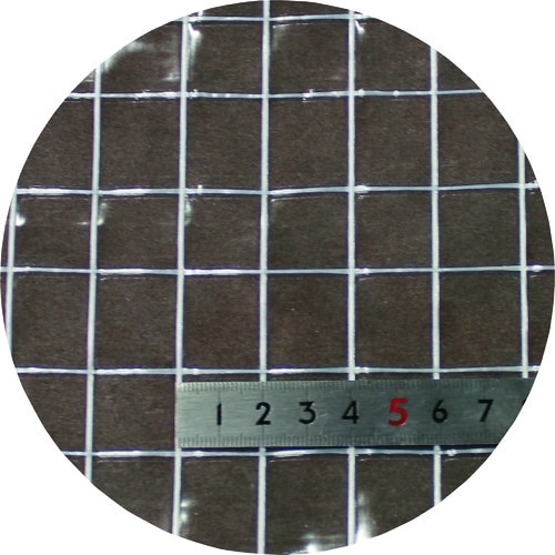 ���ϡ������� Ʃ���ɱ��Ѵ������ȡ�  ��205cm  Ĺ�� 50M