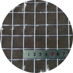 ϡ ƩɱѴȡ<br>  205cm  Ĺ 50M