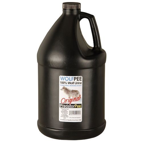 ���꡼�󥯥�����ưʪ����ޡ�����եԡ������ե����ס�1������ (3.8kg)