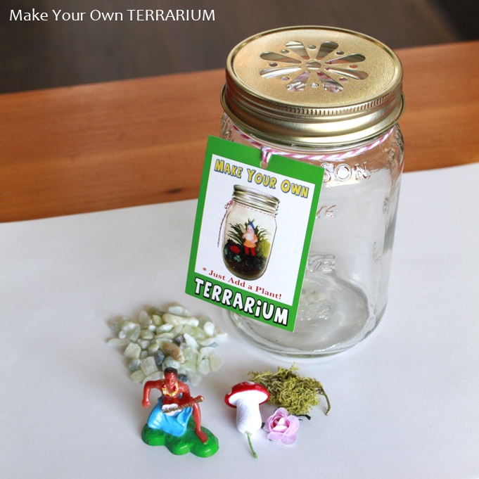 オブジェ インテリア テラリウムキット「Luau」W7.4×D7.4×H13cm サーファー アメリカ雑貨