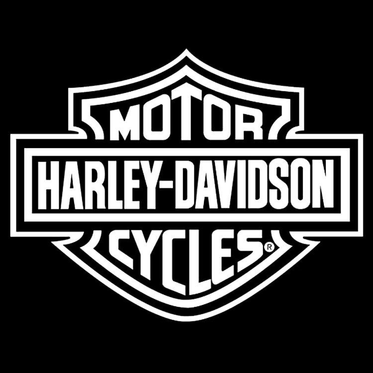 ステッカー ハーレーダビッドソン ラージ ダイカットデカール H-D B&S LOGO CG4311 約27.9×35.5cm 耐候性ビニル Harley-Davidson ステッカー シール デカール 車 アメリカ製 アメリカ雑貨