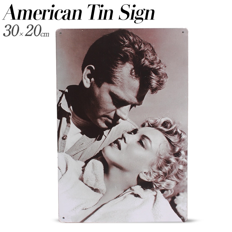 【メール便発送】ティンプレート ジェームスディーン H30×W20cm ブリキ製 インテリア 壁面装飾 オシャレ アメリカ雑貨 アメリカン雑貨アメリカン 四角 かっこいい ヴィンテージ ビンテージ コンパクト 店舗 トイレ 玄関 リビング バー カフェ