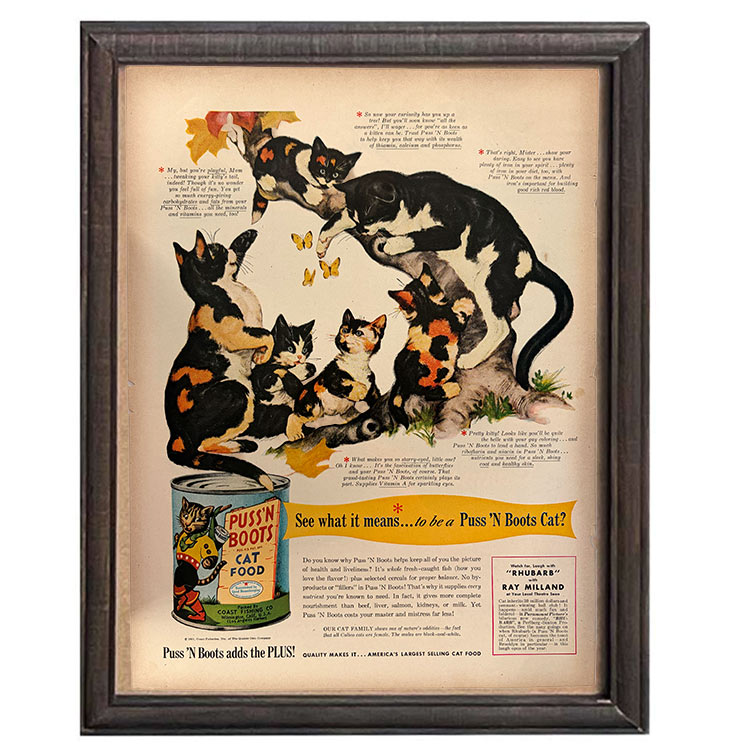 LIFE誌 ヴィンテージ切り抜き 額装アート フレーム付き アメリカ雑貨 インテリア 壁掛け Purina キャットフード広告 ktlife0151本物のLIFE誌を飾る、特別なヴィンテージアート。