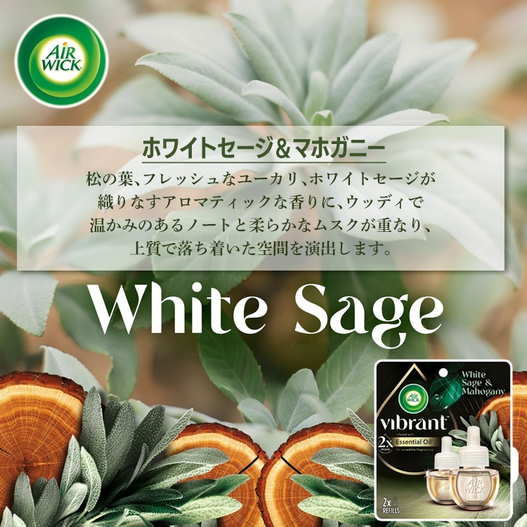 オイル芳香剤 エアウィック ビブラント  20ml×2Pパック（詰替えボトル）  ラベンダー＆ウォーターリリー ホワイトセージ＆マホガニー 芳香剤 AIR WICK Vibrant香りの広がりが素晴らしいコンセント式芳香剤！