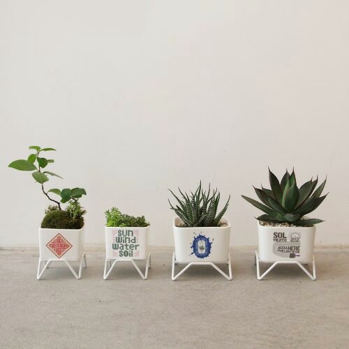 HERE by DETAIL プラントポット w/スタンド 60 レッド Pot W6.5×D6.5×H5cm / Stand W6.5×D6.5×H3cm / Weight 200g