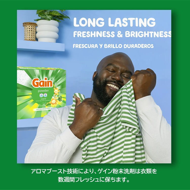 洗濯洗剤 正規輸入品 ゲイン 粉末 オリジナル 1.15kg 40oz GAIN 44回分 アメリカ雑貨 P&G 洗濯用洗剤 輸入洗剤 日用品 アメリカ製 アメリカ雑貨香り爽やかゲインの定番洗濯洗剤！