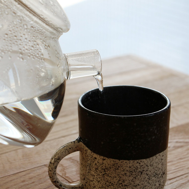 ケトル Trendglas-Jena NOVA 1.2 / ノヴァ 1.2 高さ12.2×幅22.5×奥行17cm 容量1.2L トレンドグラス 耐熱 ガラスポット やかん ドイツ キッチン雑貨