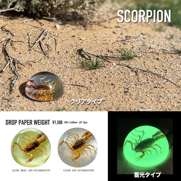 スコーピオン ドロップ ペーパーウェイト（透明 / クリア）高さ3×直径6cm サソリ 置物