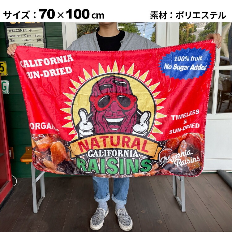 ボアブランケット カリフォルニアレーズン（2） RAISEINS2 高さ70×幅100cm ポリエステル製 フリース ブランケット 毛布 ひざ掛け 車内 オフィス 防寒 アメリカン雑貨