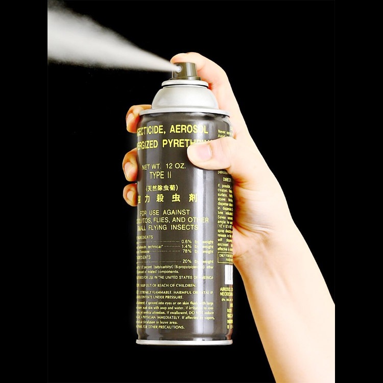 殺虫剤 スプレー式 インセクトサイド・ピレトリン 467.18ml ハエ 蚊