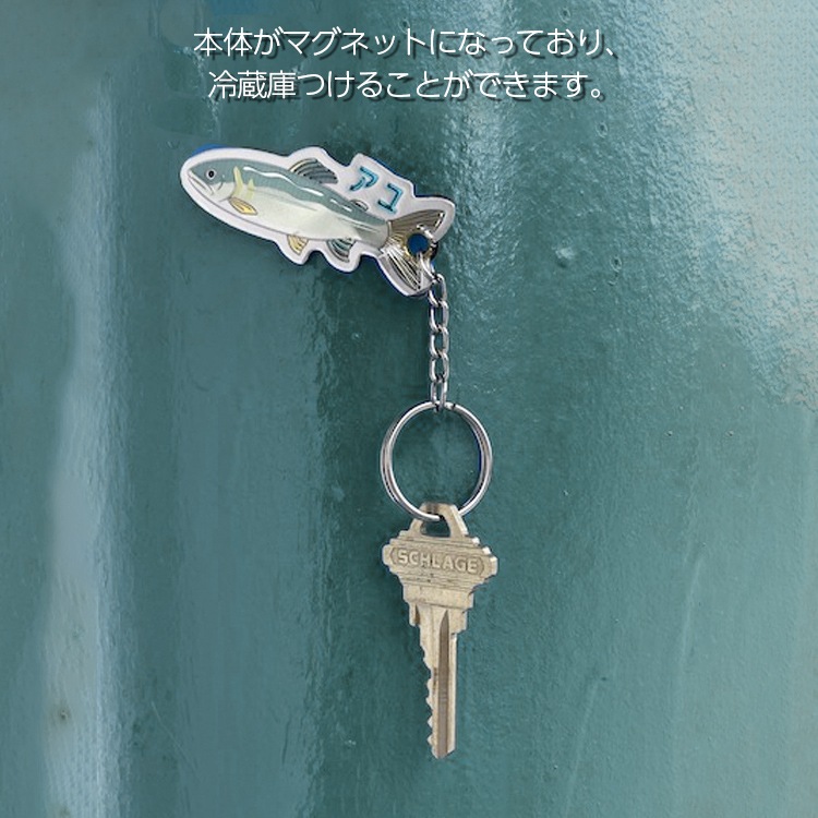 メール便発送】キーホルダー MOUNTAIN STREAMFISH KEYHOLDER