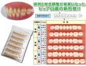 人工歯,アクリルレジン歯 | カムネッツ 歯科材料・医院用品の ...