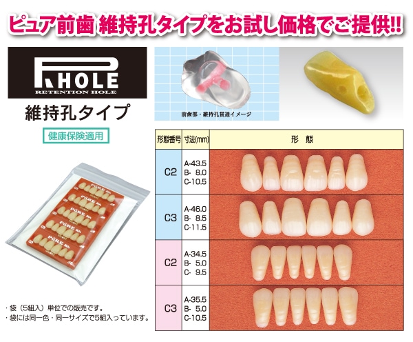 ピュアレジン前歯Rh 6歯組プレート C形態 | 人工歯,アクリルレジン歯