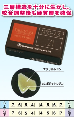 ソリュートPX バラ臼歯 M30 | 人工歯,硬質レジン歯,ソリュートPX