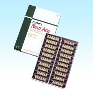 グロリア ニューエース前歯 下顎 L形態 | 人工歯,アクリル