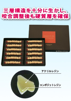 ソリュートPX 臼歯 8歯組プレート | 人工歯,硬質レジン歯,ソリュートPX  