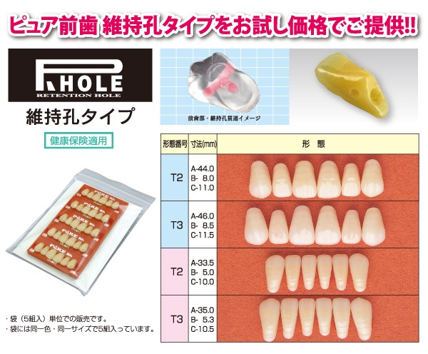 ピュアレジン前歯Rh 6歯組プレート T形態 | 人工歯,アクリルレジン歯