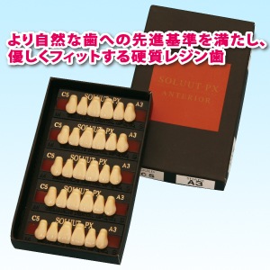ソリュートPX 前歯 6歯組プレート O形態 | 人工歯,硬質レジン歯  