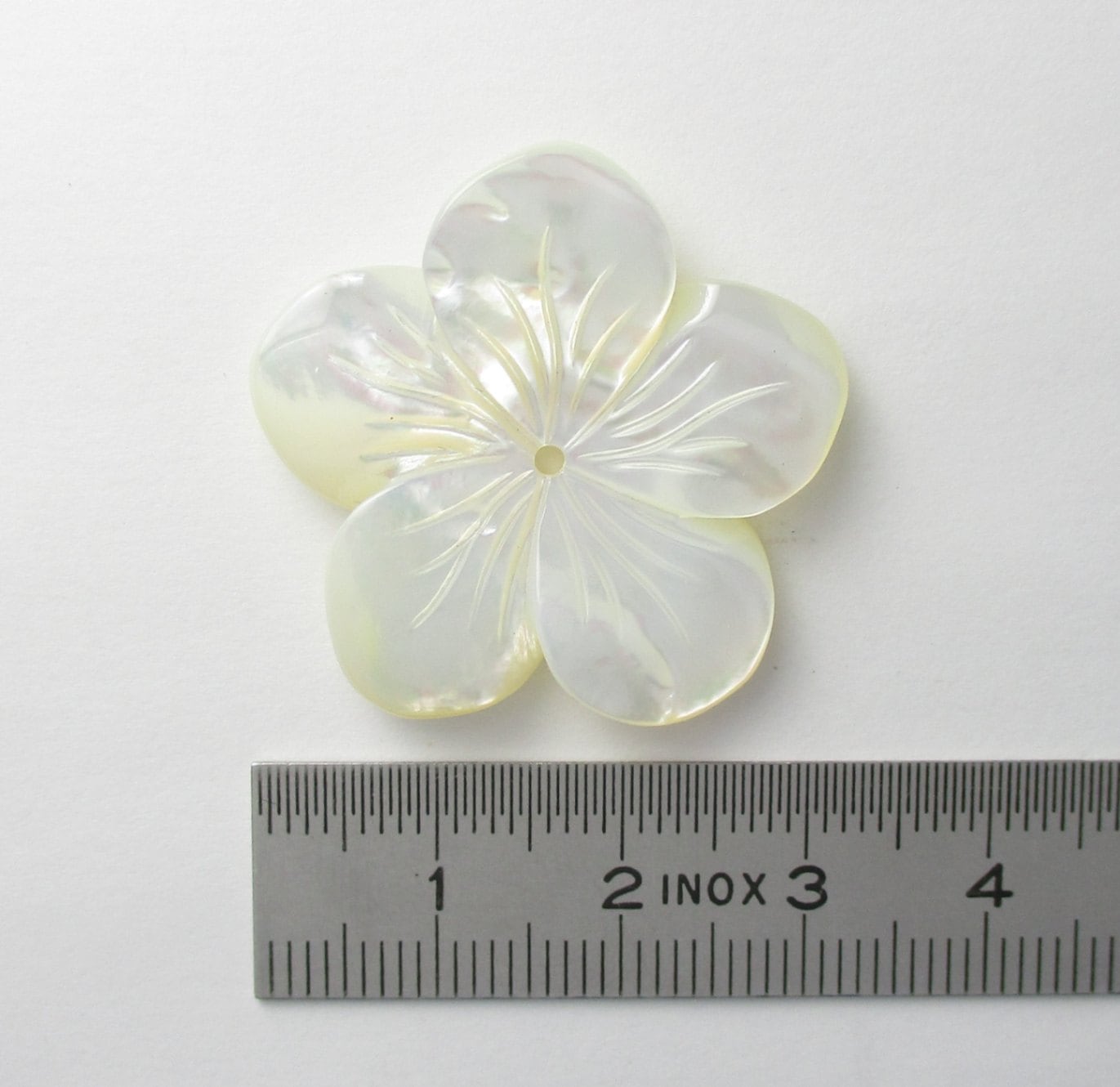 専用　①美　白蝶貝　シロチョウガイ　細密彫刻　貝細工　②2点　美　二枚貝 専用 ①美 白蝶貝 シロチョウガイ 細密彫刻 貝細工 ②2点 美 二枚貝