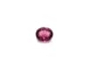 #F082ɥ饤ȥͥåȡʥ졼סˡ5.36.5mm