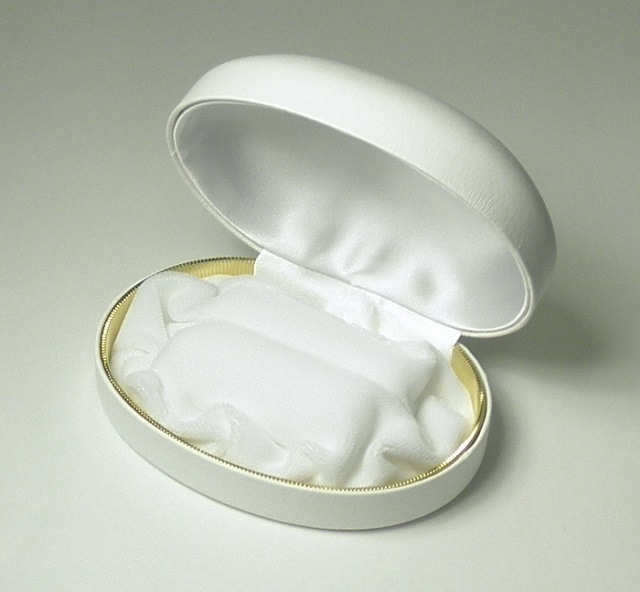 �֥饤�����󥰥����������ܺ���