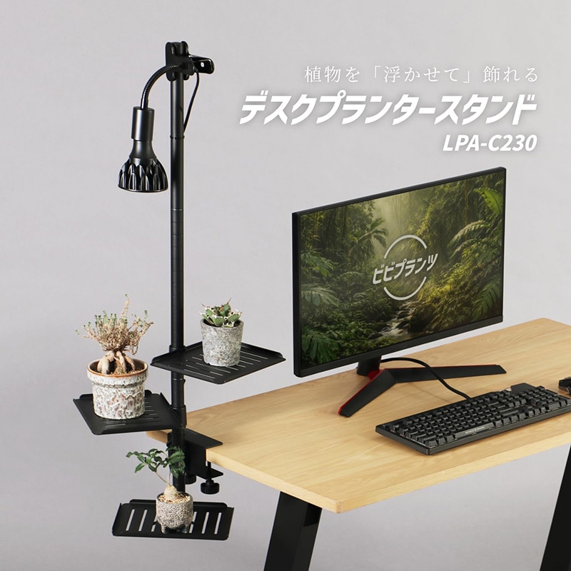 BIBILAB(ビビラボ)【ビビプランツ】植物棚 デスクプランタースタンド