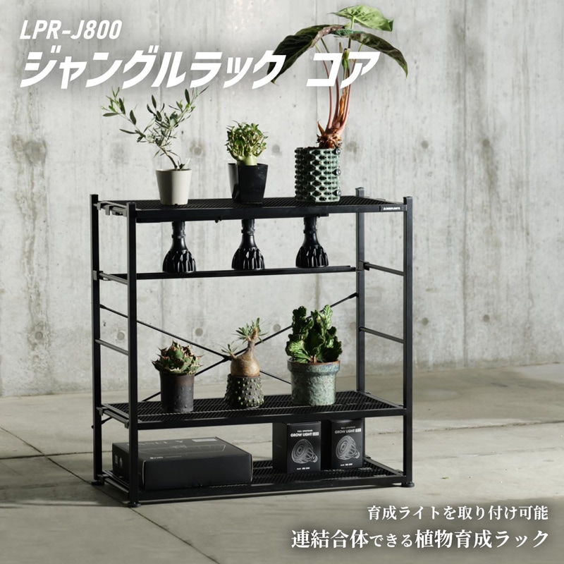 BIBIPLANTS(ビビプランツ) ジャングルラック コア LPR-J800-BK 植物