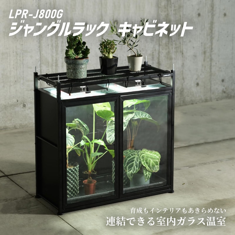 BIBIPLANTS(ビビプランツ) ジャングルラック キャビネット ガラス温室