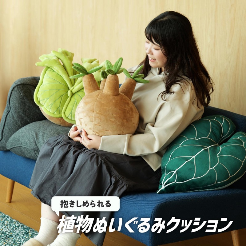 ビビプランツ】 植物ぬいぐるみクッション パキポディウムグラキリス