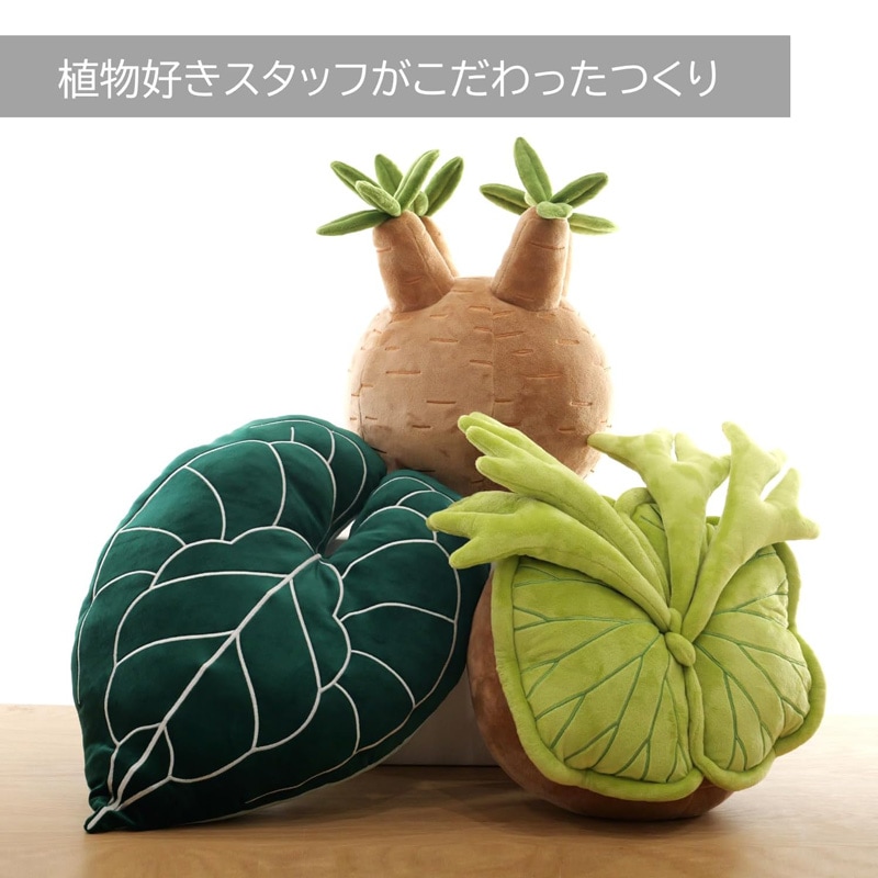 ビビプランツ】 植物ぬいぐるみクッション パキポディウムグラキリス