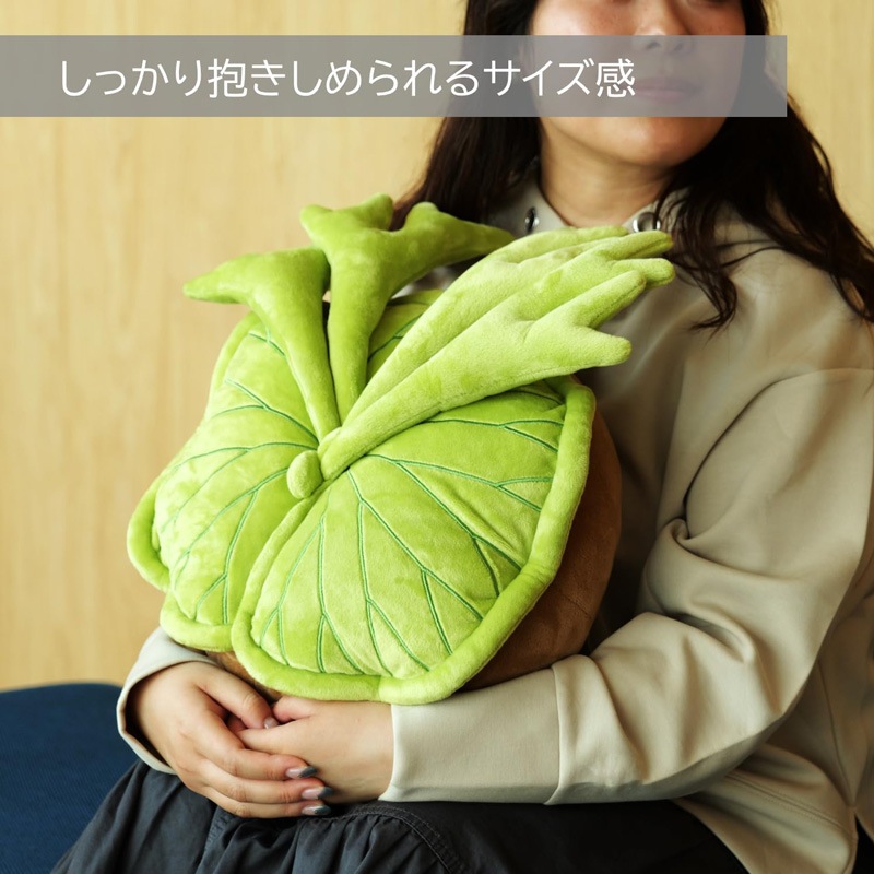 BIBIPLANTS(ビビプランツ) 植物ぬいぐるみクッション パキポディウム