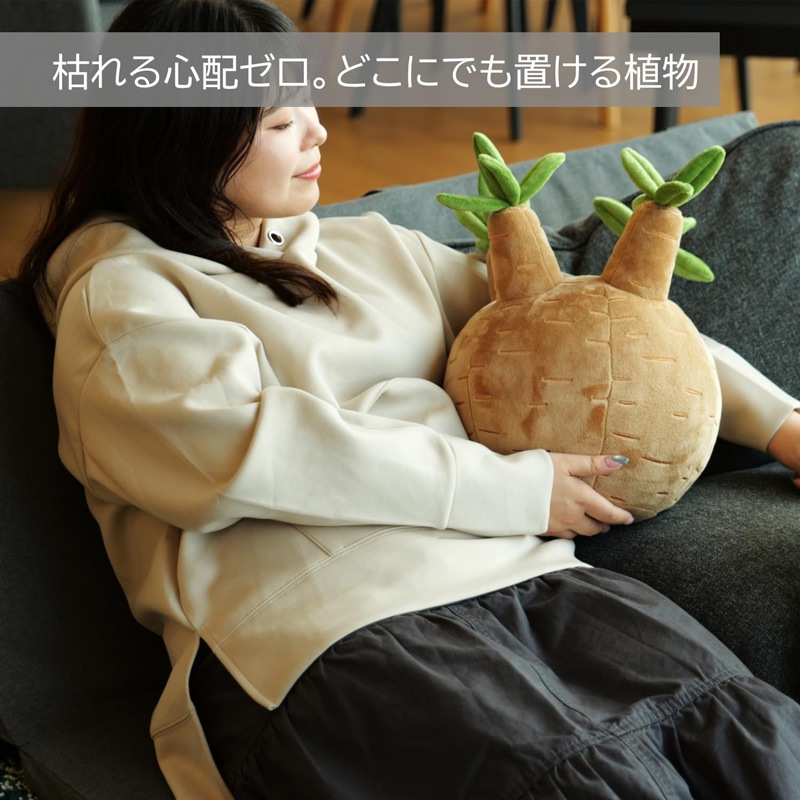 ビビプランツ】 植物ぬいぐるみクッション パキポディウムグラキリス