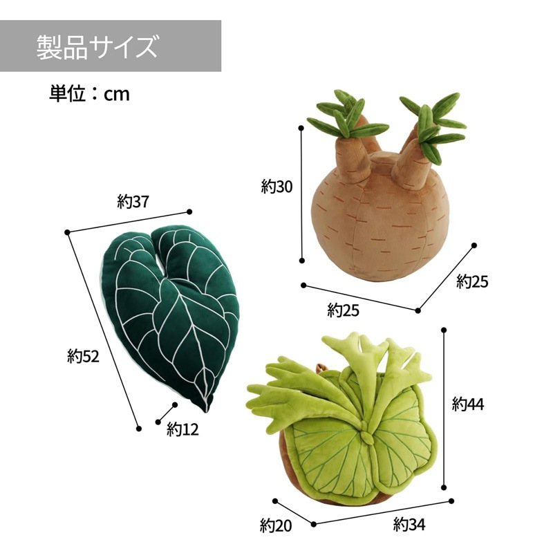 ビビプランツ】 植物ぬいぐるみクッション パキポディウムグラキリス