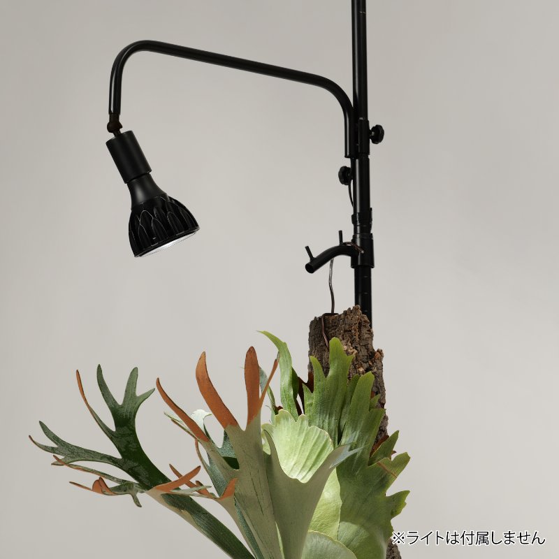 BIBILAB(�ӥӥ��) �ӥ�����ץ��� �ݡ���ϥ󥬡� LPA-P2200-BK �֥�å� �ͤ�ĥ�꿢ʪê ��������������ꡦ����󥻥��Բġ��̳�ƻ����Υ�������Բġ� -�᡼����ľ��-