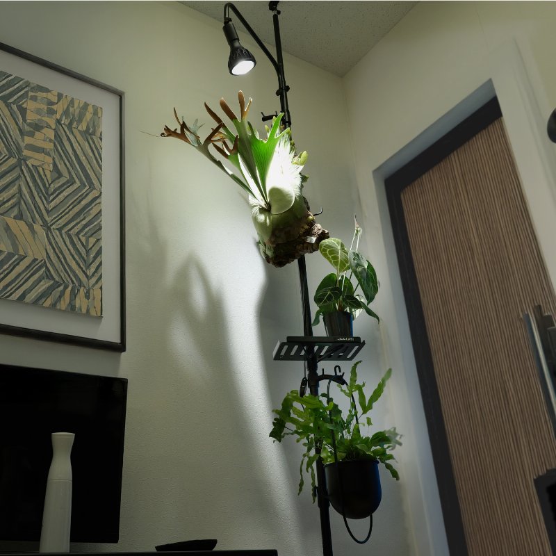 BIBILAB(�ӥӥ��) �ӥ�����ץ��� �ݡ���ϥ󥬡� LPA-P2200-BK �֥�å� �ͤ�ĥ�꿢ʪê ��������������ꡦ����󥻥��Բġ��̳�ƻ����Υ�������Բġ� -�᡼����ľ��-