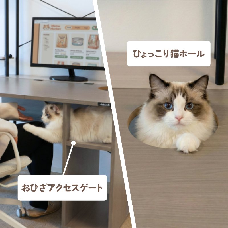 BIBILAB(ビビラボ) 【ビビにゃお】 猫ハウスデスク LCD-1000-GY 猫
