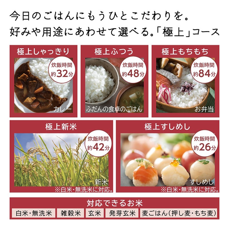 HITACHI ��Ω �դä������ ����&��������IH ���Ӵ� 5.5��椭 RZ-Z100JM(C) ���� JAN:4549873214177 ���������ʧ���Բġۡ��̳�ƻ����Υ����������ӡ�-FC-