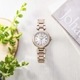 CITIZEN �������� XC ���������� ��ǥ����� �ӻ��� basic collection EC1037-51A �������ɥ饤�����Ȼ��� JAN:4974375500488 ���������ʧ���Բġۡ��̳�ƻ����Υ����������ӡ�-FK-