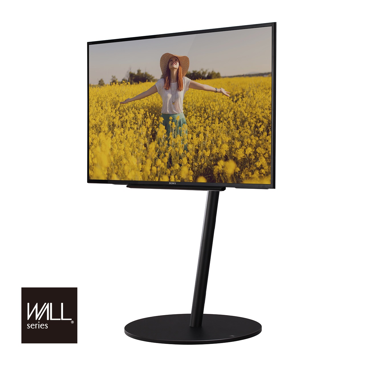 EQUALS�ʥ������륺�� �ƥ�ӥ������ ���㥹�����դ���Ω������(45��80������б�)  WALL INTERIOR TVSTAND A2 LARGE TYPE  ���̳�ƻ����Υ����������ӡ� �ڤ������ʡ� -FK-