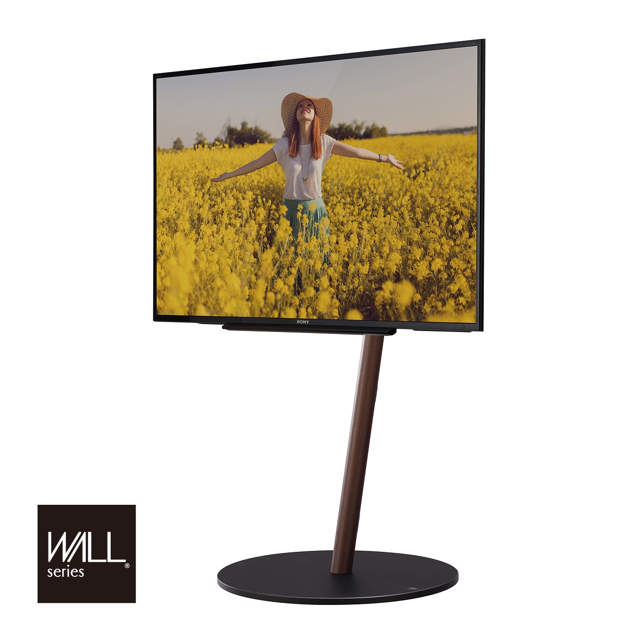 EQUALS�ʥ������륺�� �ƥ�ӥ������ ���㥹�����դ���Ω������(45��80������б�)  WALL INTERIOR TVSTAND A2 LARGE TYPE  ���̳�ƻ����Υ����������ӡ� �ڤ������ʡ� -FK-