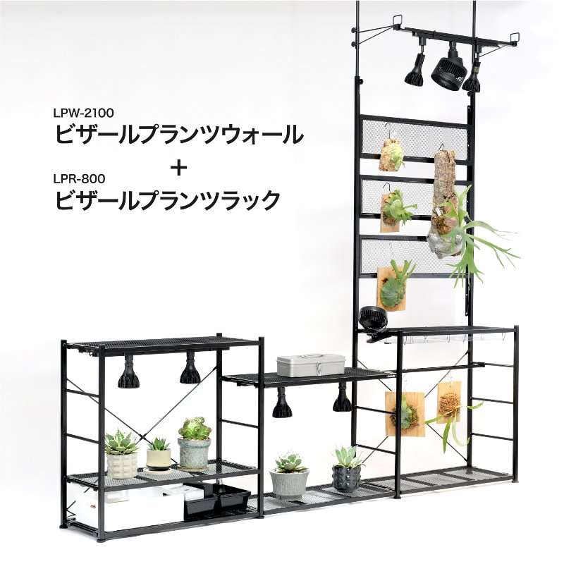 BIBILAB(�ӥӥ��) �ӥ�����ץ��ĥ��������å� LPW-2100-WH �ۥ磻�� ��ʪ�����饤�� ��ʪ�ѥ�������졼���� ����դ���ǽ �ӥ����������� �ɳݤ� ��ʪê �ĥåѥ�ê �ӥ������� ��������� �����ץ��� ������ �� �ߤ겼�� ������� �Ȥ��� �� �ۥ磻�� ��������������ꡦ����󥻥��Բġ��̳�ƻ����Υ�������Բġ� -�᡼����ľ��-