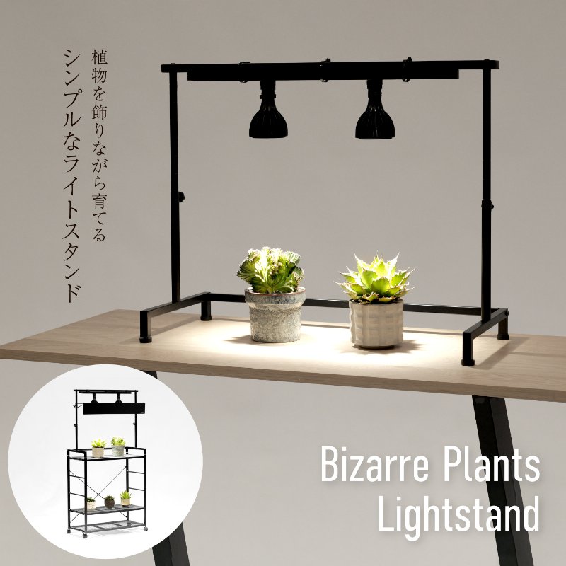 BIBILAB(�ӥӥ��) �ӥ�����ץ��ĥ饤�ȥ������ LPS-800-BK �֥�å� ��ʪ�����饤�ȼ���դ���ǽ �饤�ȥ���������° Ʊ���꡼��Ϣ�� ��ʪ�����饤�ȥ������ ������ɥ饤�� ��ʪ��å� ��ʪê ������ʪ ������ �ӥ������� �ѥ��ݥǥ����� ���饭�ꥹ ��������������ꡦ����󥻥��Բġ��̳�ƻ����Υ�������Բġ� -�᡼����ľ��-