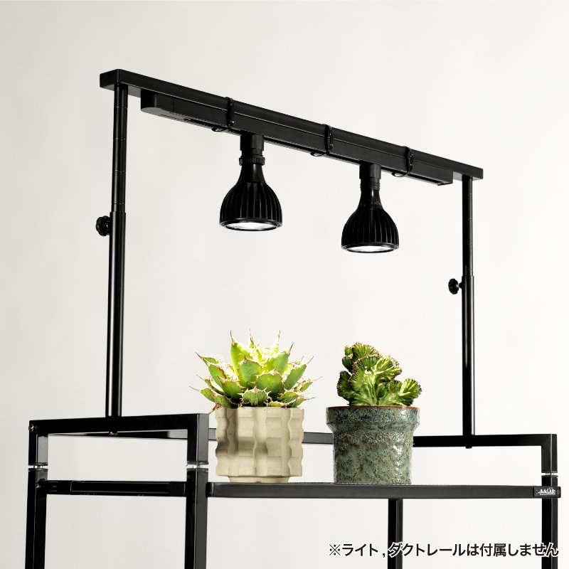 BIBILAB(�ӥӥ��) �ӥ�����ץ��ĥ饤�ȥ������ LPS-800-BK �֥�å� ��ʪ�����饤�ȼ���դ���ǽ �饤�ȥ���������° Ʊ���꡼��Ϣ�� ��ʪ�����饤�ȥ������ ������ɥ饤�� ��ʪ��å� ��ʪê ������ʪ ������ �ӥ������� �ѥ��ݥǥ����� ���饭�ꥹ ��������������ꡦ����󥻥��Բġ��̳�ƻ����Υ�������Բġ� -�᡼����ľ��-