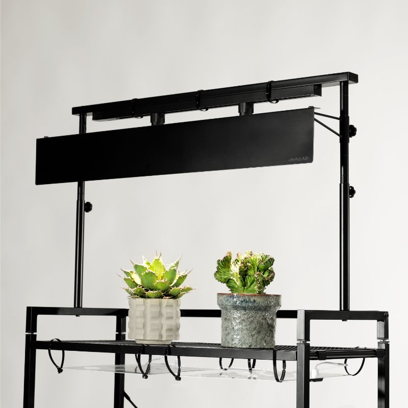 BIBILAB(�ӥӥ��) �ӥ�����ץ��ĥ饤�ȥ������ LPS-800-BK �֥�å� ��ʪ�����饤�ȼ���դ���ǽ �饤�ȥ���������° Ʊ���꡼��Ϣ�� ��ʪ�����饤�ȥ������ ������ɥ饤�� ��ʪ��å� ��ʪê ������ʪ ������ �ӥ������� �ѥ��ݥǥ����� ���饭�ꥹ ��������������ꡦ����󥻥��Բġ��̳�ƻ����Υ�������Բġ� -�᡼����ľ��-