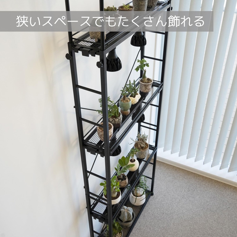 BIBILAB(�ӥӥ��) �ӥ�����ץ��ĥ�å������ led ��ʪ�����饤�� ��������졼���� �����ȥ졼�� ����դ���ǽ ��ʪ���ߤ겼����ǽ LPR-180-BK ��������������ꡦ����󥻥��Բġ��̳�ƻ����Υ�������Բġ� -�᡼����ľ��-