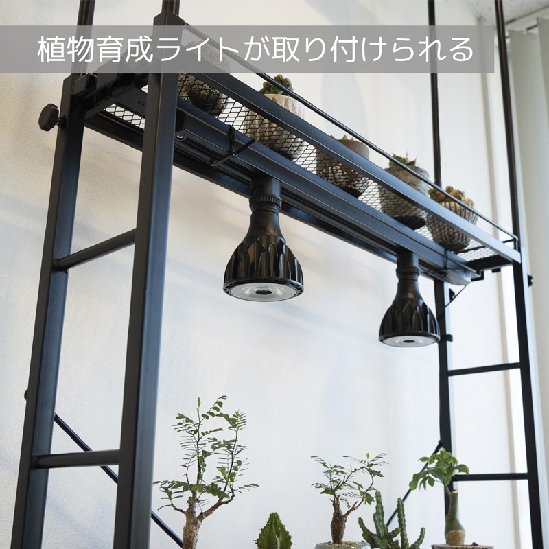 BIBILAB(�ӥӥ��) �ӥ�����ץ��ĥ�å������ led ��ʪ�����饤�� ��������졼���� �����ȥ졼�� ����դ���ǽ ��ʪ���ߤ겼����ǽ LPR-180-BK ��������������ꡦ����󥻥��Բġ��̳�ƻ����Υ�������Բġ� -�᡼����ľ��-