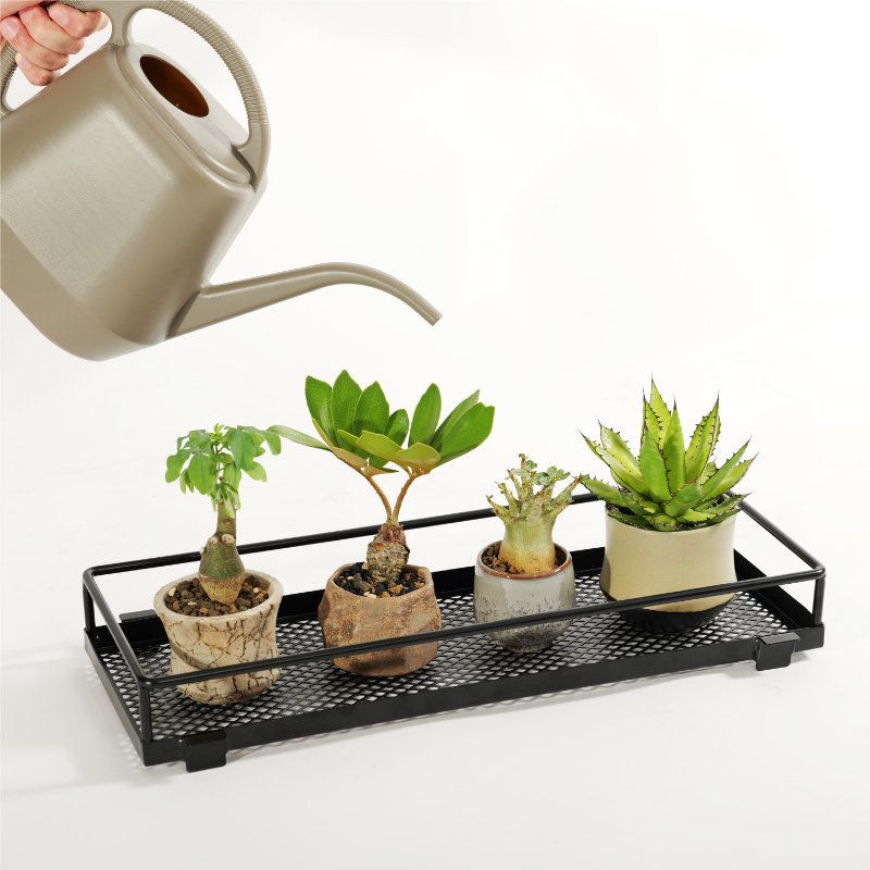 BIBILAB(�ӥӥ��) �뤮��ץ�󥿡�������� �륵�å��˴�ñ���ա��⤫����� ��ʪê �������곰���ƿ��꤬�Ǥ��� ���տ�ʪ �ץ�󥿡��ϥ󥬡� ¿����ʪ ����ȭ ���� ê �ե�������� ��å� �ֲ� ���� LPA-600-BK ��������������ꡦ����󥻥��Բġ��̳�ƻ����Υ�������Բġ� -�᡼����ľ��-