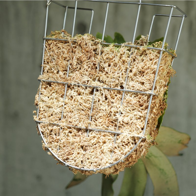 BIBILAB(�ӥӥ��) �ӥ��������Х����å� 1��ñ�� ���礦�ɤ��������� (20cm��27.5cm��5.5cm) ���ƥ�쥹�� �ӥ����Х����å� �ӥ��������� ���դ� ���ƥ�쥹�Х����å� ��������� ������ �ϥ󥮥� �ӥ�����ץ��� �إ��� ���륯 LPG-B230-1-SL ��������������ꡦ����󥻥��Բġ��̳�ƻ����Υ�������Բġ� -�᡼����ľ��-