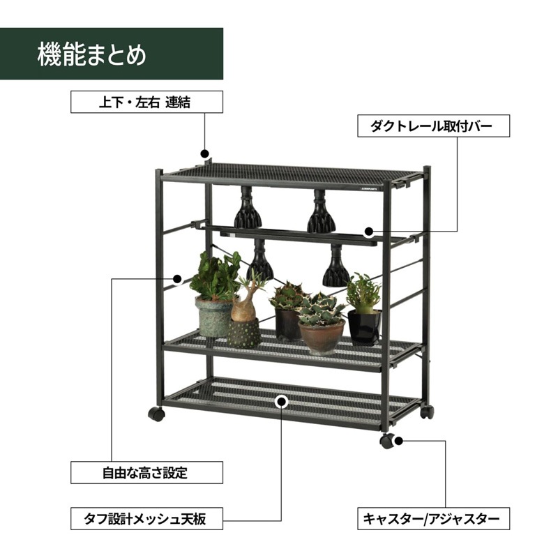 BIBIPLANTS(ビビプランツ) ジャングルラック コア LPR-J800-BK 植物